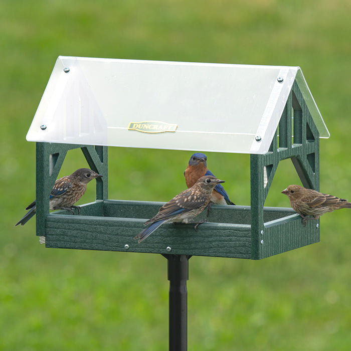 Duncraft Post and Beam Pavilion Feeder & Pole with multiple birds feeding, showcasing its fly-through openings, clearview plastic roof, and durable green recycled plastic construction.