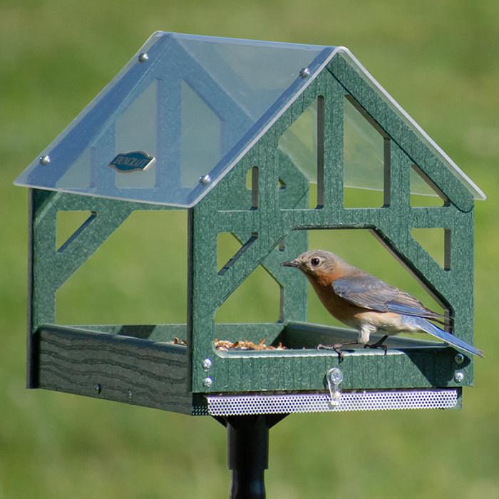 Duncraft Post and Beam Pavilion Feeder & Pole: A bird perches on a durable, green recycled plastic feeder with a clearview roof and fly-through openings on all sides.