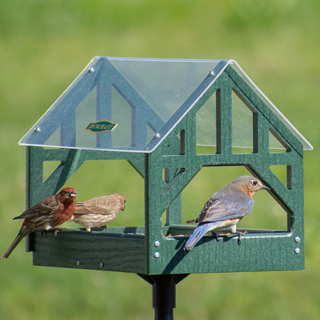 Duncraft Post and Beam Pavilion Feeder & Pole featuring birds perching and feeding on a traditional platform with fly-through openings and a clearview roof.