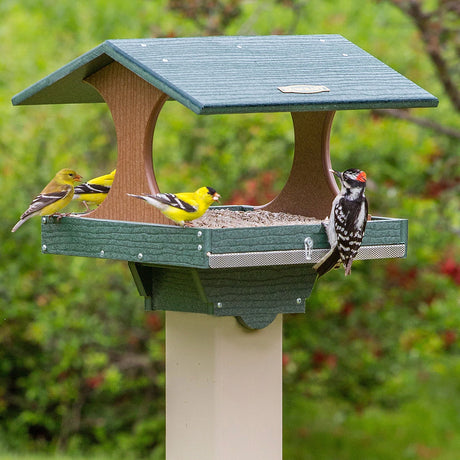 Duncraft Grandview Platform Feeder & Post with Auger showing multiple birds feeding from all sides on a sturdy post-mounted platform with mesh drainage.