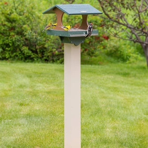 Duncraft Grandview Platform Feeder & Post with Auger, featuring built-in perches, mesh drainage, and a stable beige PVC post, with birds feeding from all sides.