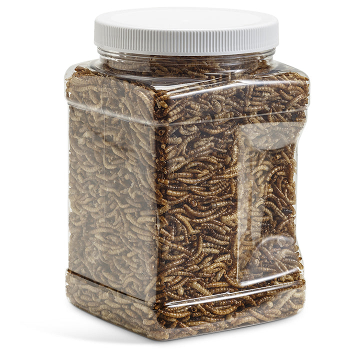 Duncraft Dried Mealworms, 12 oz., shown in a plastic container with brown insects, ideal for feeding insect-eating birds year-round.