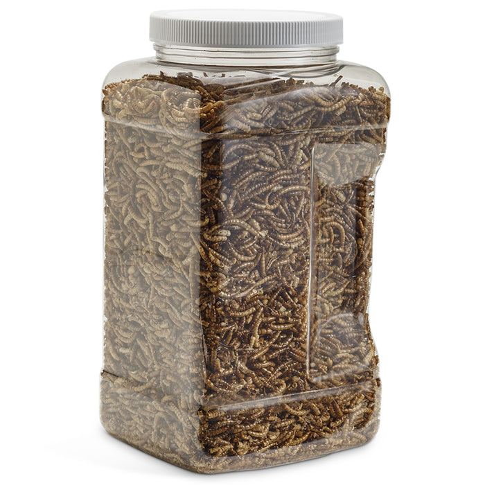 Duncraft Dried Mealworms, 20 oz. container, showcasing brown mealworms inside a clear plastic container with a lid, perfect for bird feeding.