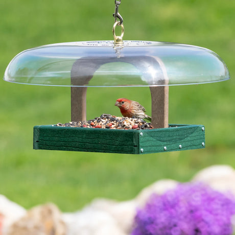 Duncraft Hanging Baffled Platform Feeder with bird perched on feeder, featuring weather guard, metal mesh drainage, and feeding access from all four sides.