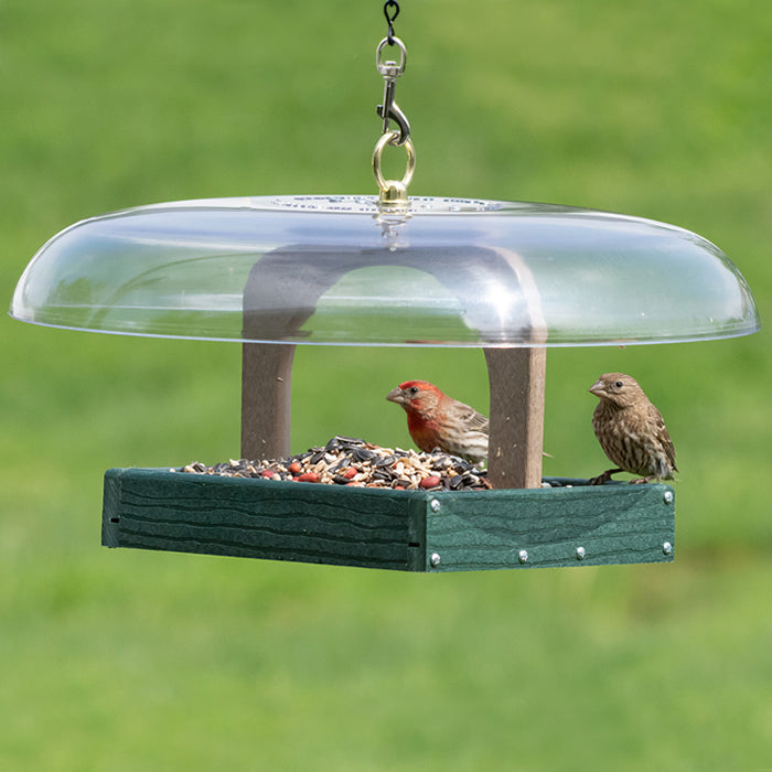 Duncraft Hanging Baffled Platform Feeder with birds feeding, featuring a weather guard and metal mesh drainage for all-season use.