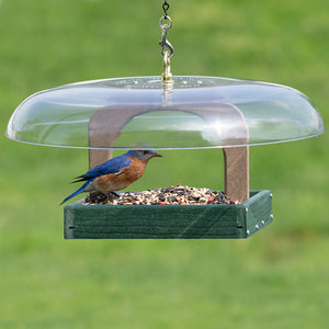 Duncraft Hanging Baffled Platform Feeder with bird perched on feeder, showcasing its durable design and multiple feeding access points.