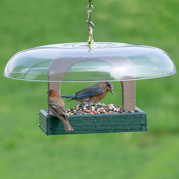 Duncraft Hanging Baffled Platform Feeder with bird on pole. Durable, weather-guarded feeder provides four-sided access for smaller birds. Holds 1.5 lbs. seed, easy to clean.