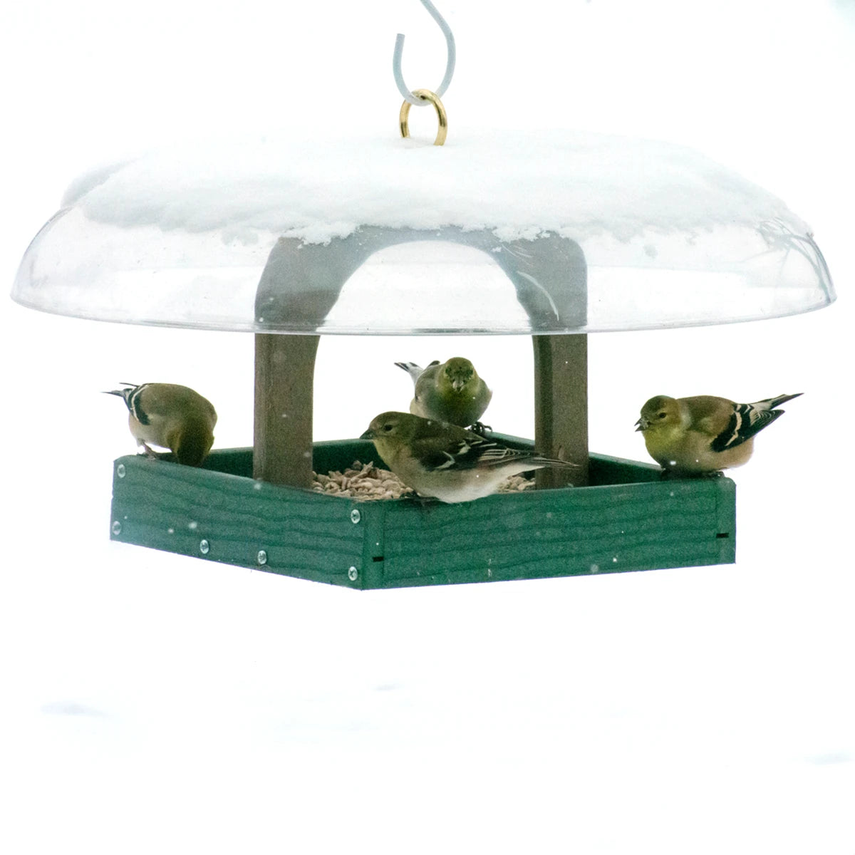 Duncraft Hanging Baffled Platform Feeder with birds feeding from all sides, featuring a clearview weather guard and durable green mesh drainage.