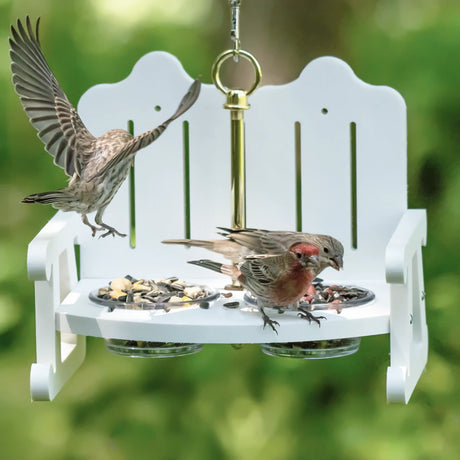 Duncraft Garden Bench Bird Feeder with two dishes, sparrows perched and feeding, hanging rod with eye hook, made from white recycled plastic.