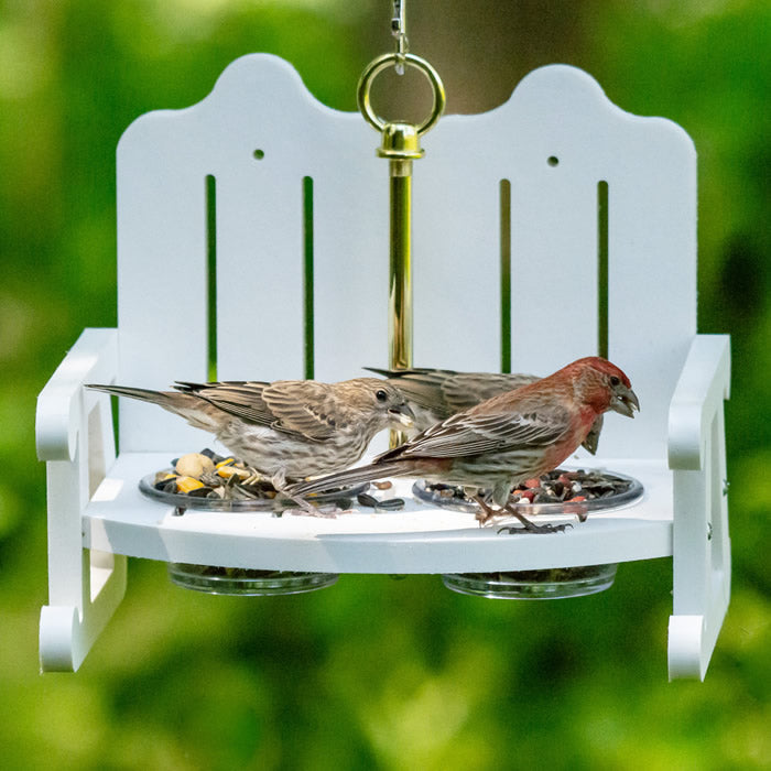 Duncraft Garden Bench Bird Feeder with two birds perched, featuring dual clear dishes for feeding and a brass-plated hanging rod.