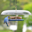 Duncraft Bluebird Fly-In-Fly-Out Feeder with a bluebird eating from one of two clear dishes on a durable, weather-protected base.