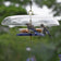 Duncraft Bluebird Fly-In-Fly-Out Feeder with dome tray and two dishes for seeds and mealworms, features juvenile bluebirds perched, sheltered by clear plastic guard.