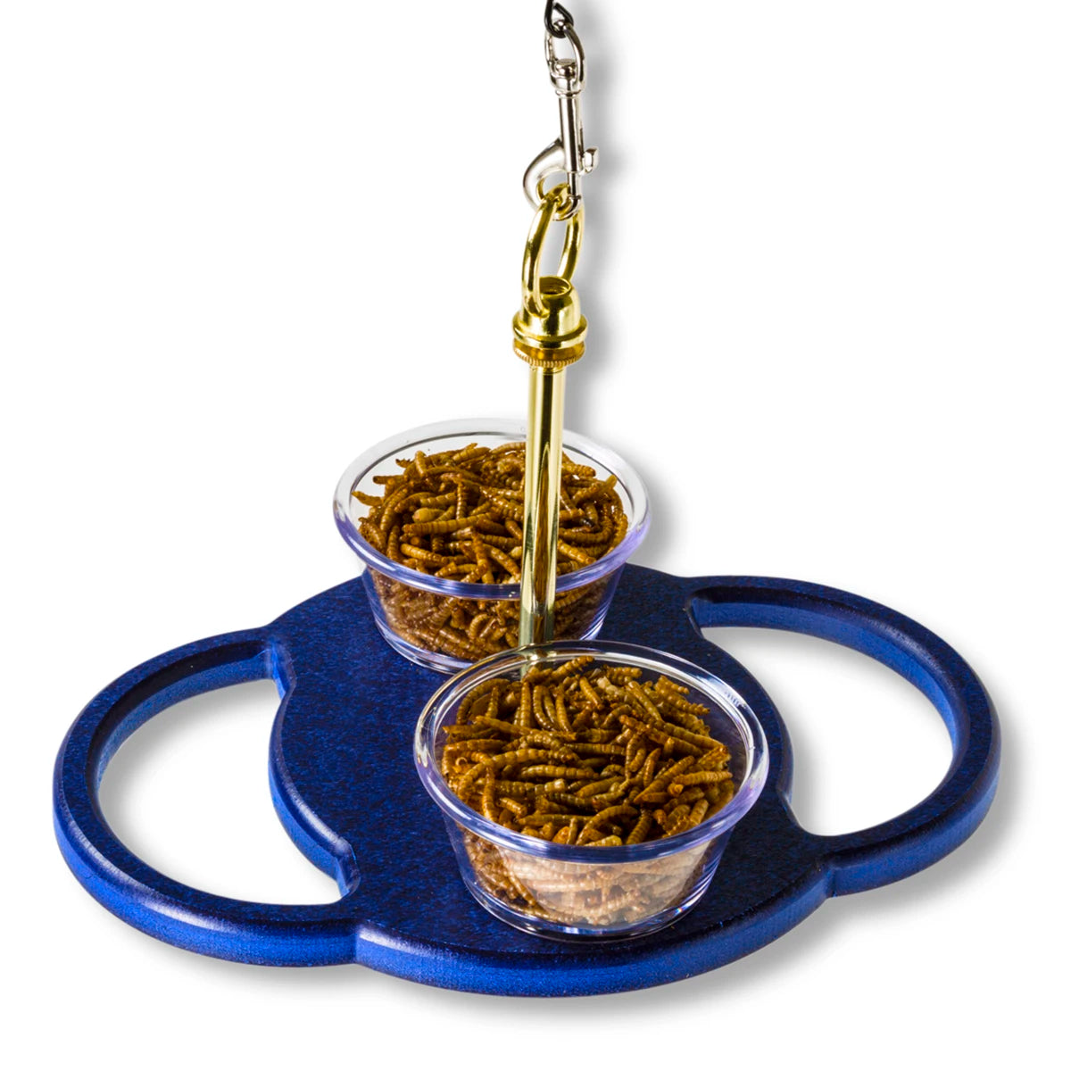 Duncraft Bluebird Fly-In-Fly-Out Feeder with two clear plastic dishes filled with mealworms, featuring a 16-inch clear weather guard and brass eye hook for hanging.