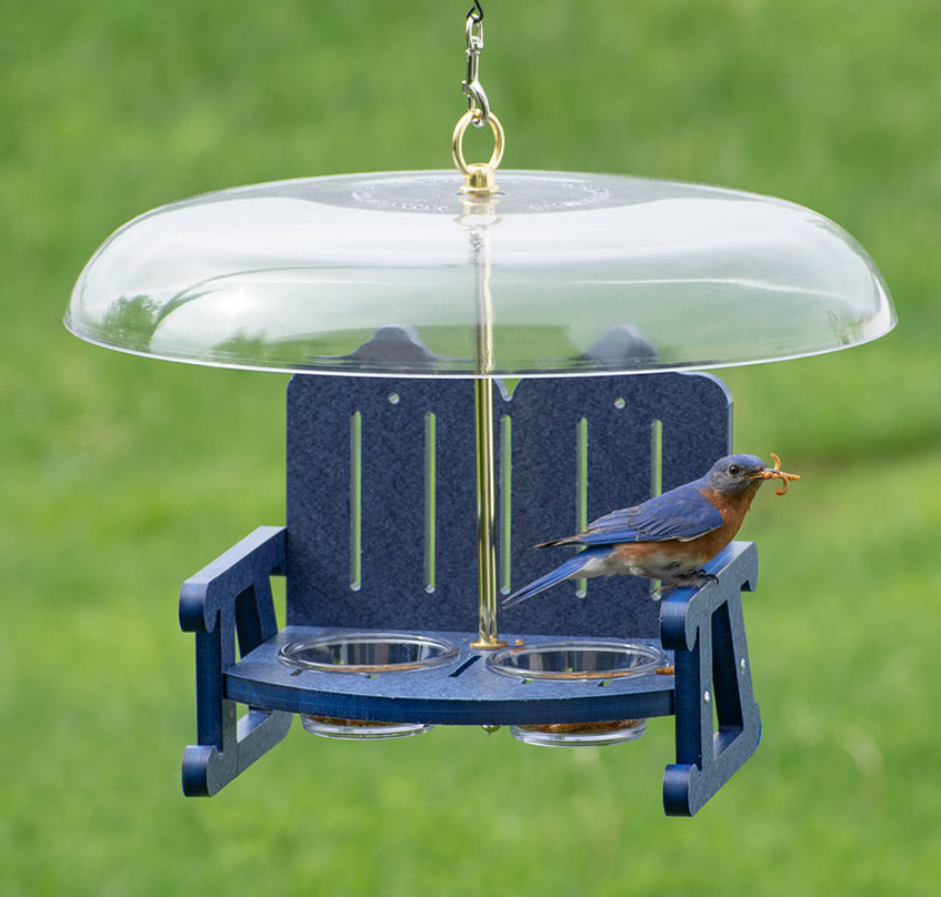 Duncraft Bluebird Sidewalk Cafe Bird Feeder with two clear dishes, a 16-inch weather guard, and blue recycled plastic frame, featuring a bluebird perched on the feeder.