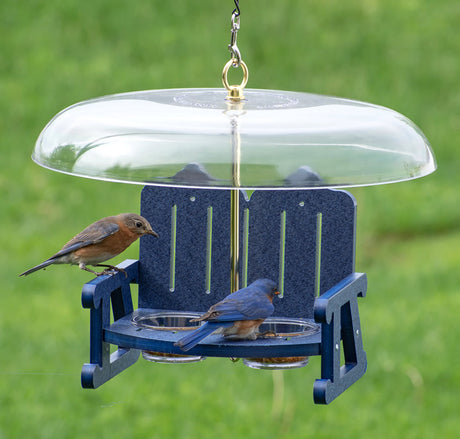 Duncraft Bluebird Sidewalk Cafe Bird Feeder with two clear dishes, weather guard, and brass fittings, attracting bluebirds and others to dine.