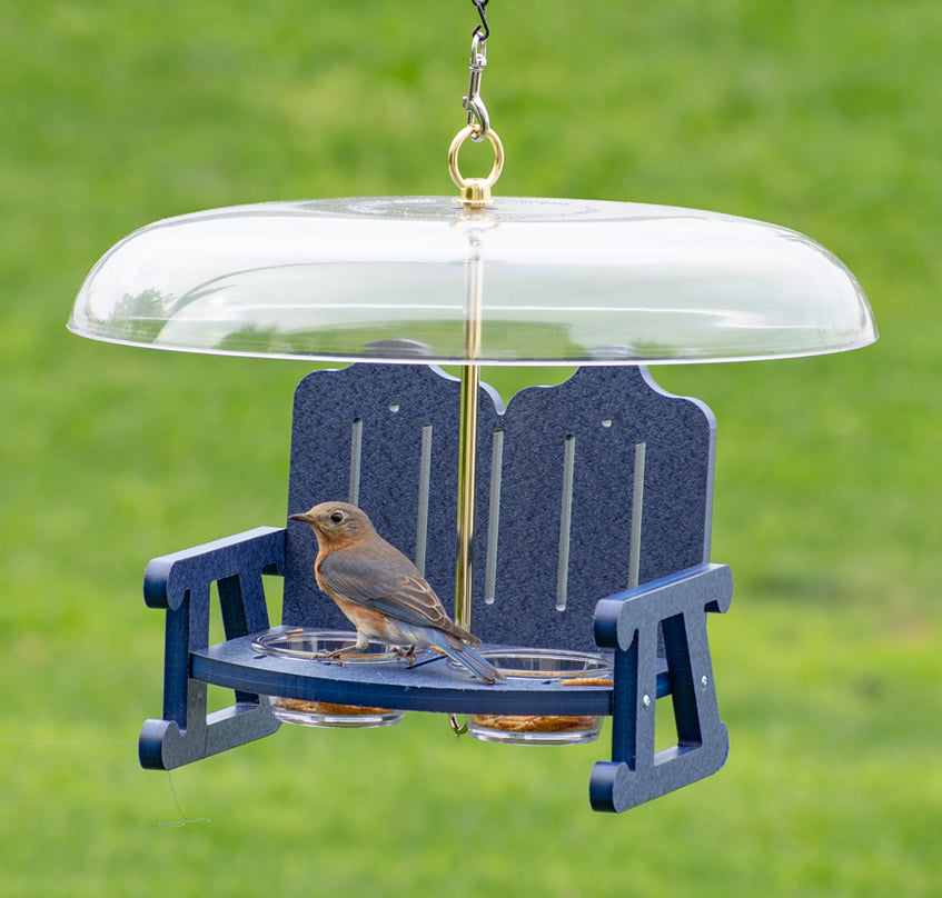 Duncraft Bluebird Sidewalk Cafe Bird Feeder with two 5 oz. clear dishes, a 16-inch weather guard, and recycled plastic construction, featuring a bird perched on the feeder.