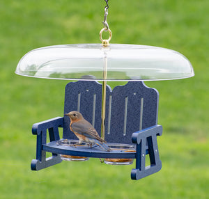 Duncraft Bluebird Sidewalk Cafe Bird Feeder with two 5 oz. clear dishes, a 16-inch weather guard, and recycled plastic construction, featuring a bird perched on the feeder.