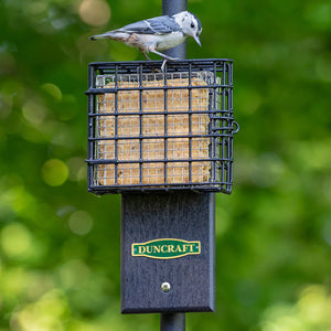 Duncraft Pole Mount Tail Prop Suet Shield with a bird perched on the metal feeder, designed to prevent suet gorging and attract woodpeckers.