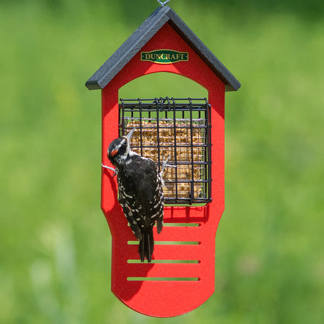 Double Sided Tail Prop Suet Feeder with woodpecker on feeder, featuring stainless steel Suet Shield Insert to prevent suet gorging.