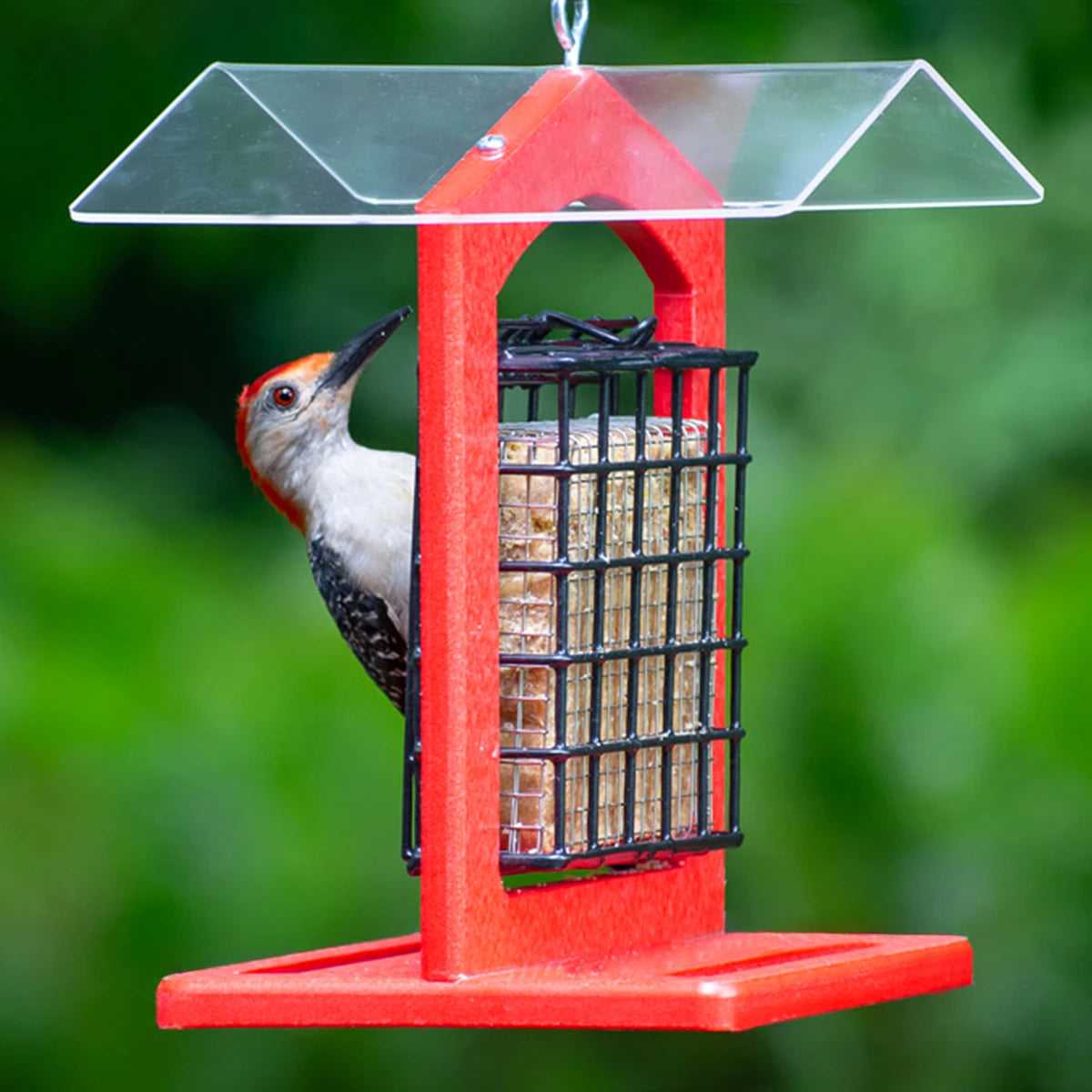 Duncraft Sheltered Suet Shield Blocker with a woodpecker feeding from the suet cake. Features stainless steel mesh and built-in perches for bird feeding.