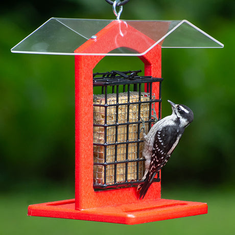 Duncraft Sheltered Suet Shield Blocker with a woodpecker perched on the feeder, featuring a suet-saving insert and built-in perches.