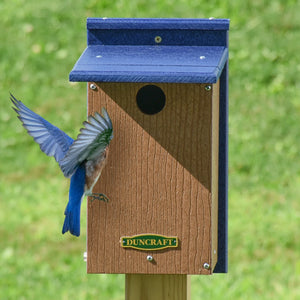 Duncraft Wren Shield Bluebird House with Side View showing a bluebird flying near the entrance, designed to protect nesting bluebirds from House Wrens.