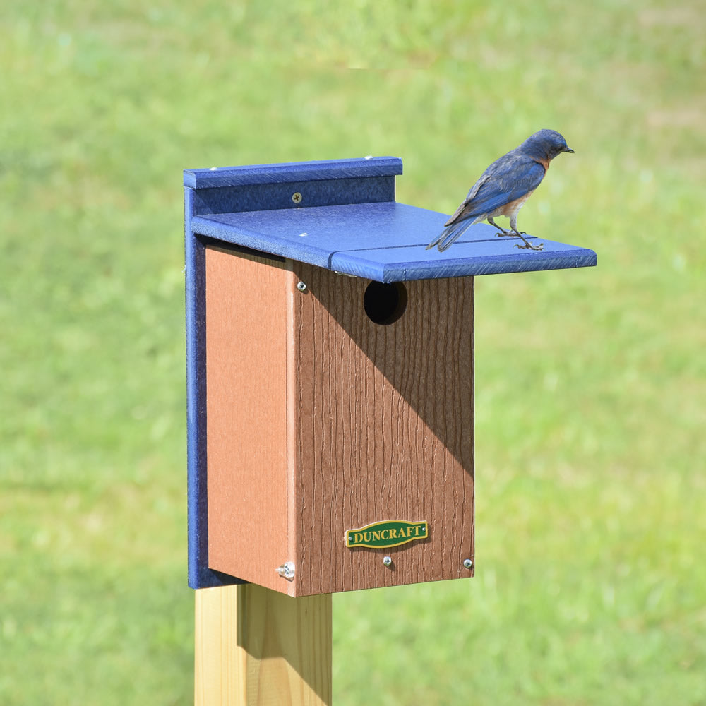 Duncraft Wren Shield Bluebird House with Side View showing a bluebird perched on the front. Features a shield panel to block House Wrens.