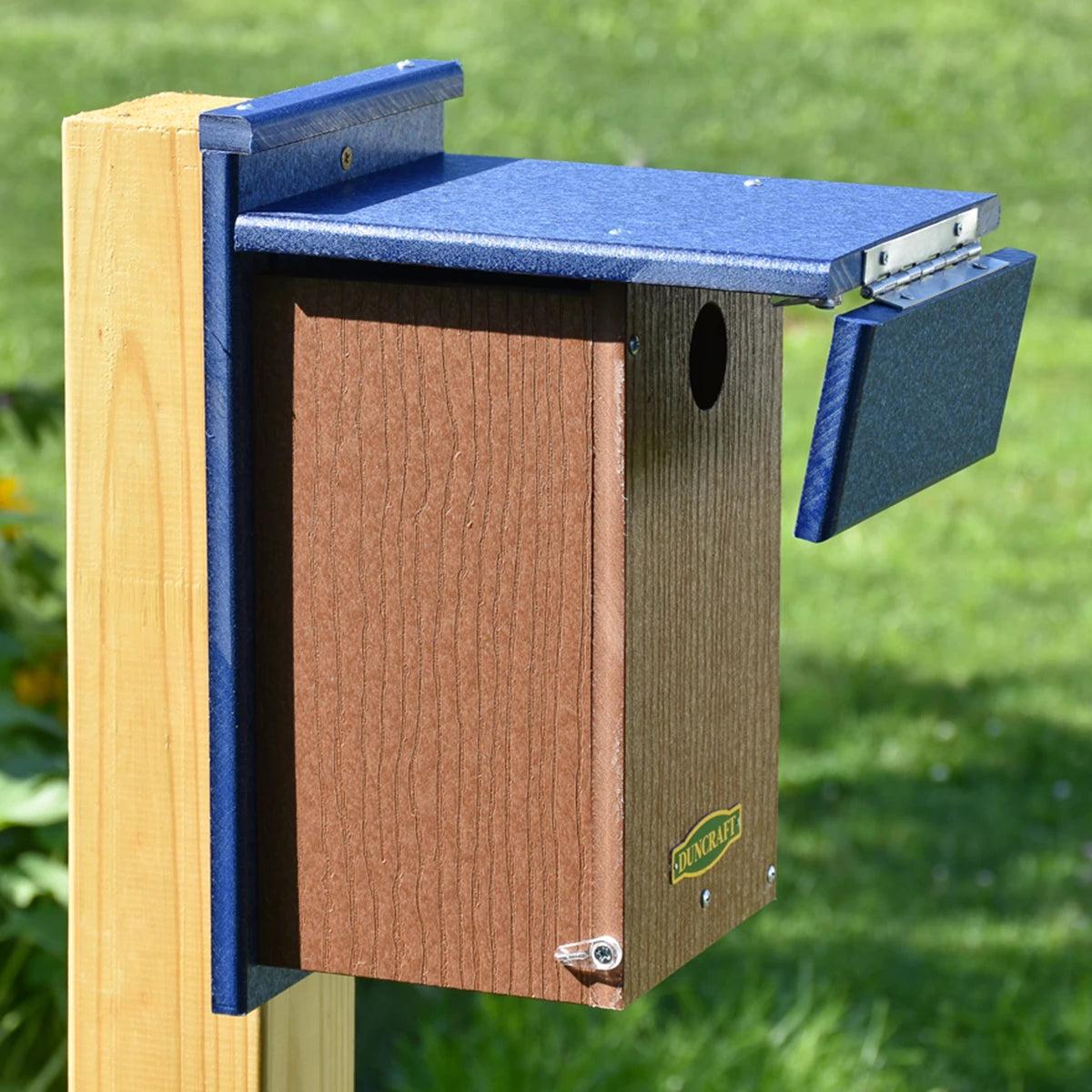 Duncraft Wren Shield Bluebird House with Side View, featuring a blue roof, brown body, and side panel for easy access and observation.