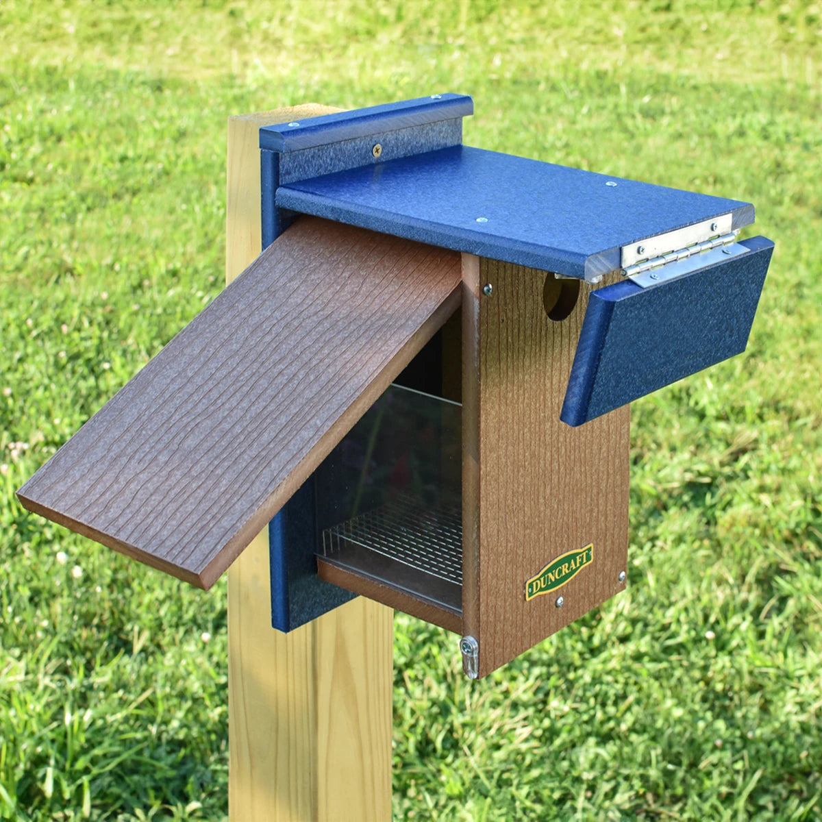 Duncraft Wren Shield Bluebird House with Side View mounted on a post, featuring a blue exterior, open door, and clearview side panel for easy observation.