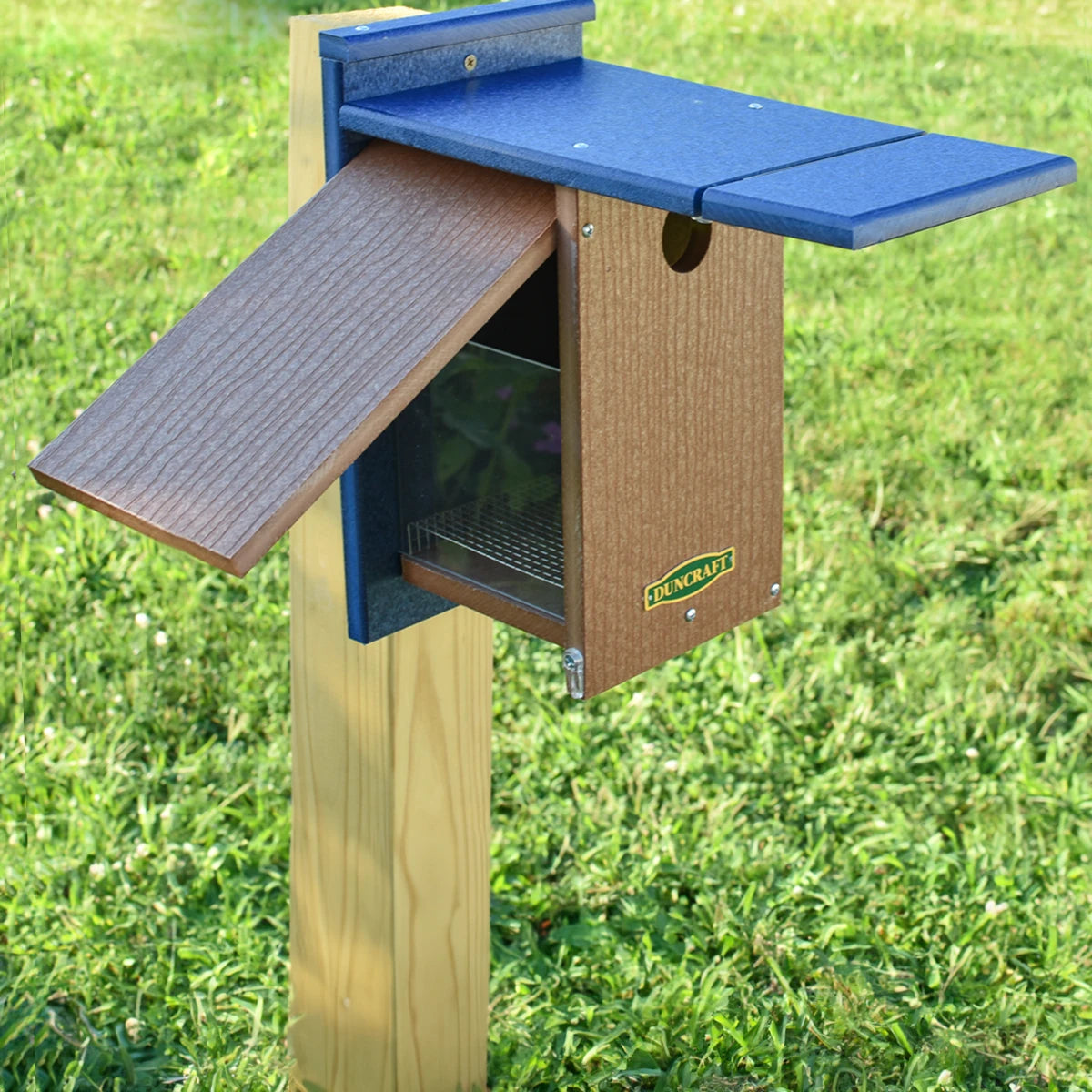 Duncraft Wren Shield Bluebird House on a wooden post with a blue entrance blocker, designed to protect nesting bluebirds from House Wrens.