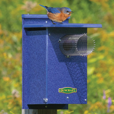 Duncraft EZ-Viewing Bluebird House with Leonard Guard, featuring a bluebird perched on a rugged blue birdhouse with wire mesh predator guard and clearview side panel.