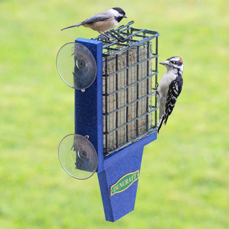 Best View Window Suet Feeder: a bird feeds on a suet cake inside a blue, window-mounted feeder with a tail prop and stainless steel Suet Shield insert.