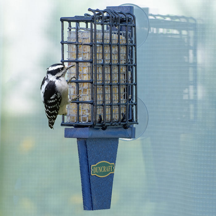 Best View Window Suet Feeder with a woodpecker perched on it, featuring a stainless steel Suet Shield Insert and two heavy-duty suction cups for firm window attachment.