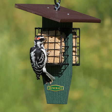 Duncraft Sheltered Three Woodpecker Suet Feeder with woodpecker perched on feeder, featuring a built-in tail prop for balance while feeding.