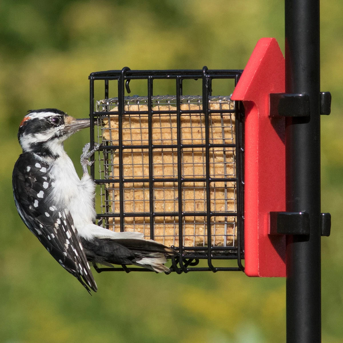 Duncraft Pole Mount Red Arrow Suet Saver with stainless steel mesh, holds one suet cake, prevents large birds and squirrels from gorging. 