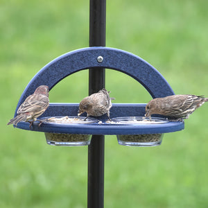 Duncraft Pole Mount Mealworm Dish Feeder with birds eating from two clear dishes, mounted on a blue surface with a built-in perch.