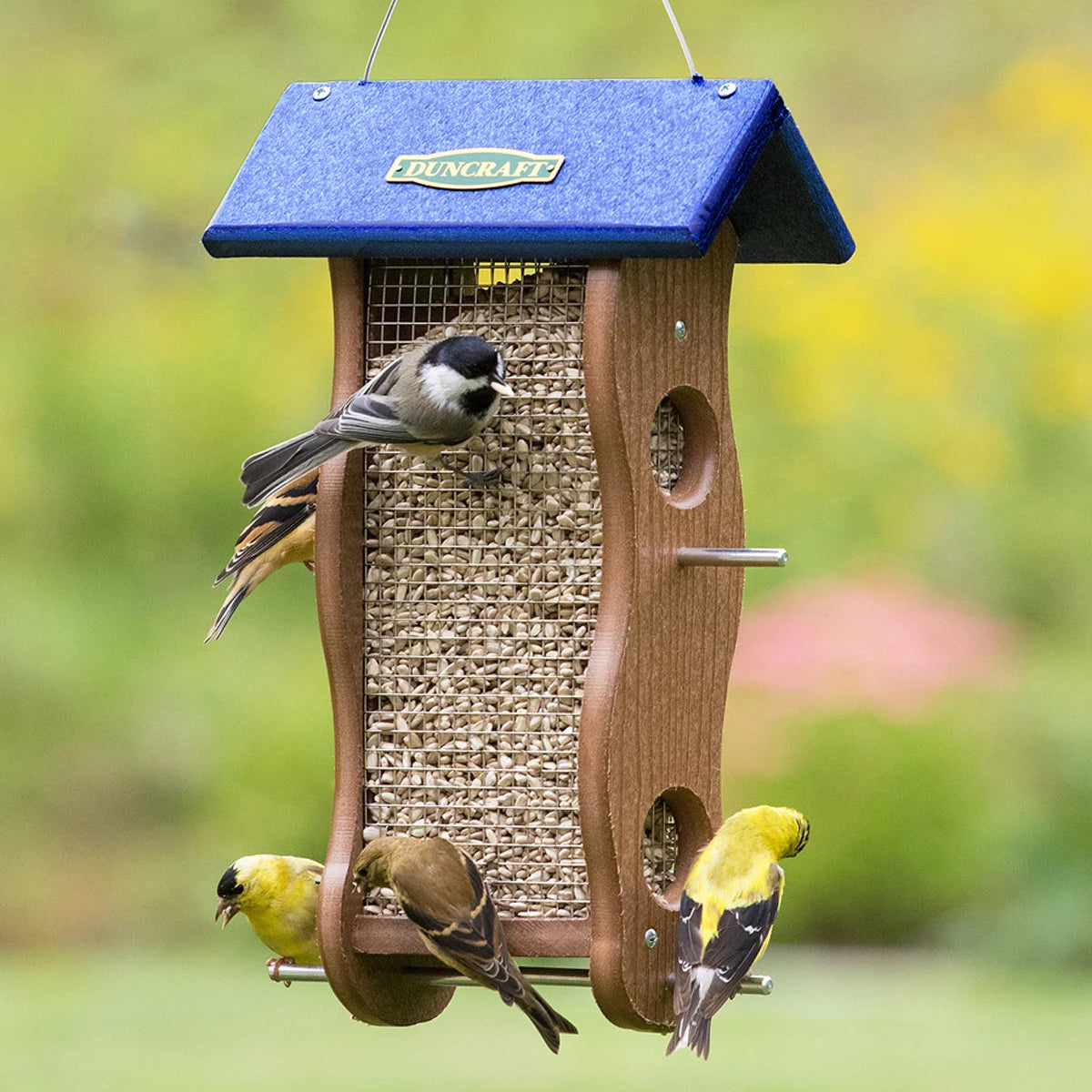 Duncraft Classic Wave Sunflower Feeder with multiple birds feeding from rustproof aluminum perches and wire mesh, attracting various small birds to its four sides.