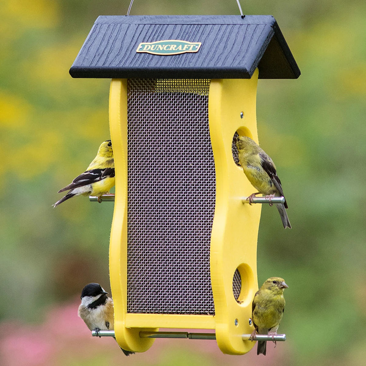 Duncraft Classic Wave Nyjer® Feeder with yellow frame, wire mesh, and four metal perches. Features three finches and one chickadee feeding.