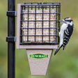 Duncraft Pole Mount Tail Prop Suet Feeder with bird on feeder, featuring stainless steel mesh insert to prevent suet gorging, mounted on a pole.