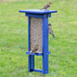 Duncraft Blue Ridge Mesh Sunflower Feeder with multiple birds clinging and perching, feeding from wire mesh openings, showcasing its bird-friendly design and functionality.