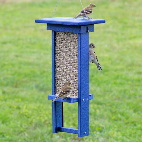 Duncraft Blue Ridge Mesh Sunflower Feeder with multiple birds clinging and perching, feeding from wire mesh openings, showcasing its bird-friendly design and functionality.