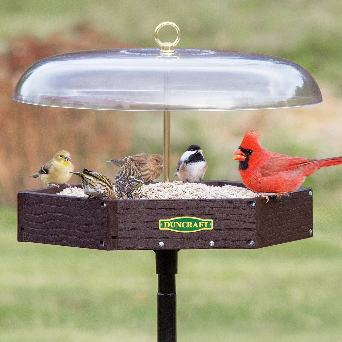 Duncraft Hexagon Pavilion Post Feeder