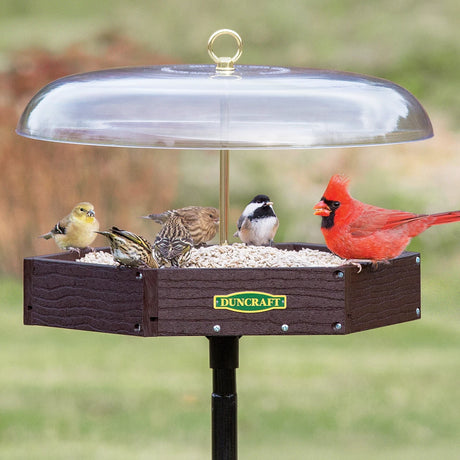 Duncraft Hexagon Pavilion Post Feeder showing a red cardinal feeding, featuring a durable design with a weather guard and mesh flooring for drainage.