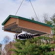Duncraft Eco-Strong Upside Down Double Suet Feeder with a male Downy Woodpecker feeding upside-down on wire mesh, designed for clinging birds.