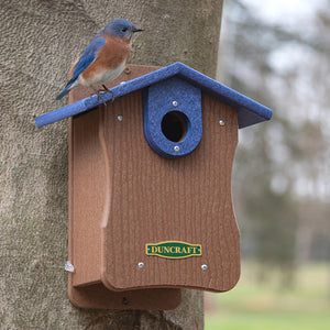 Duncraft Bird-Safe® EZ Observation Bluebird House with Predator Guard showing a bluebird perched on the house, featuring dual side panels for easy observation and cleaning.