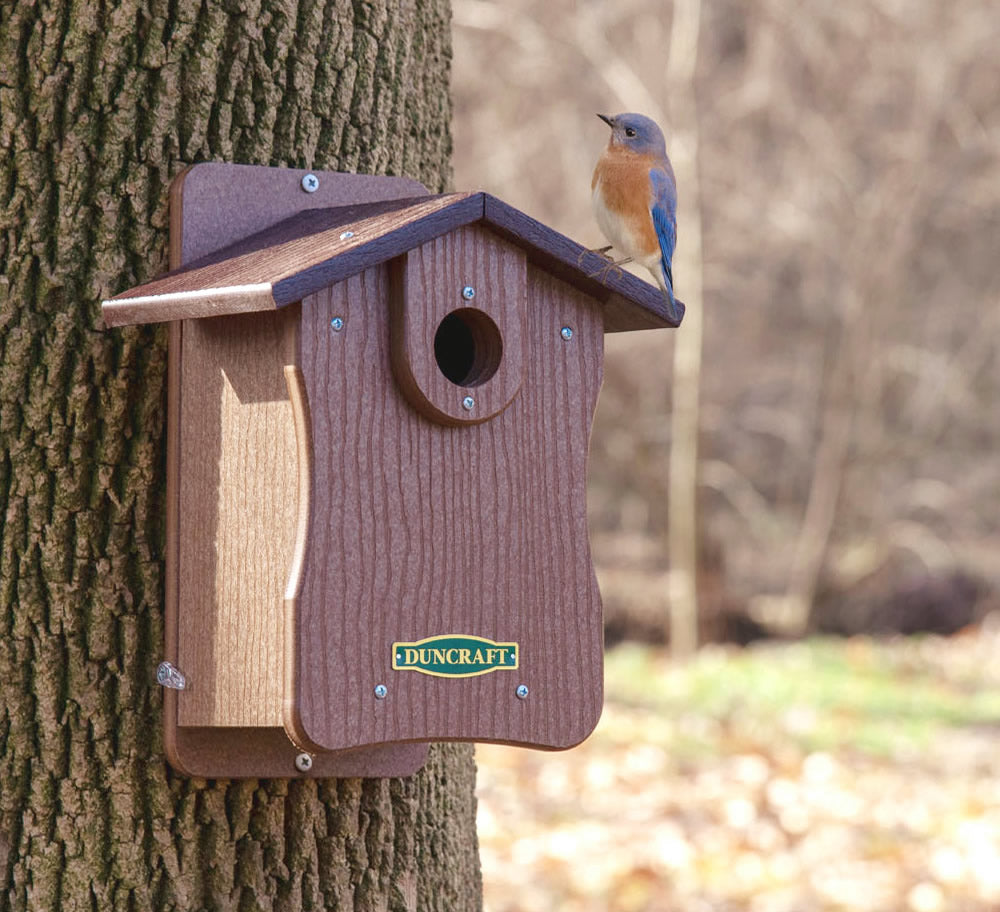 Duncraft Bird-Safe® EZ Observation Bluebird House with Predator Guard featuring a bird perched on it. The birdhouse has side panels for easy cleanout and observation.