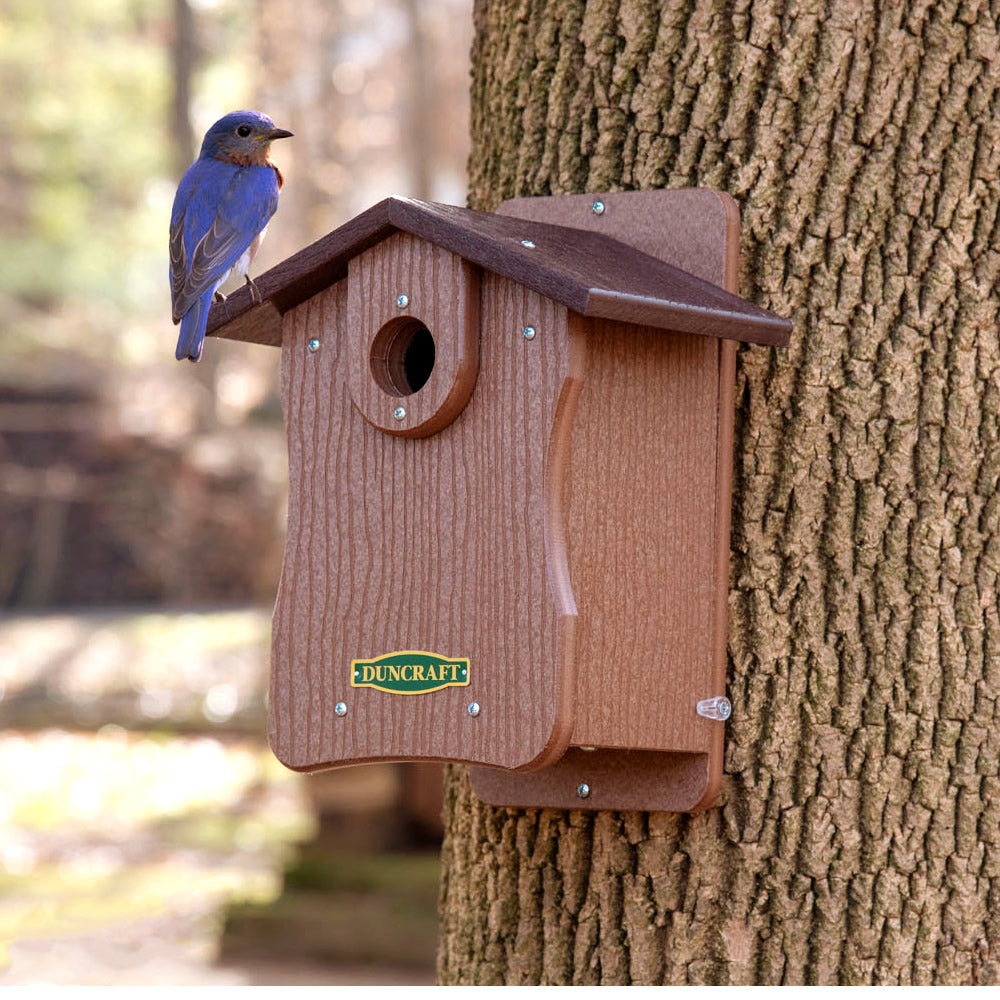 Duncraft Bird-Safe® EZ Observation Bluebird House with Predator Guard features a wooden birdhouse with side panels for easy observation and a 1-1/2 inch entry hole.