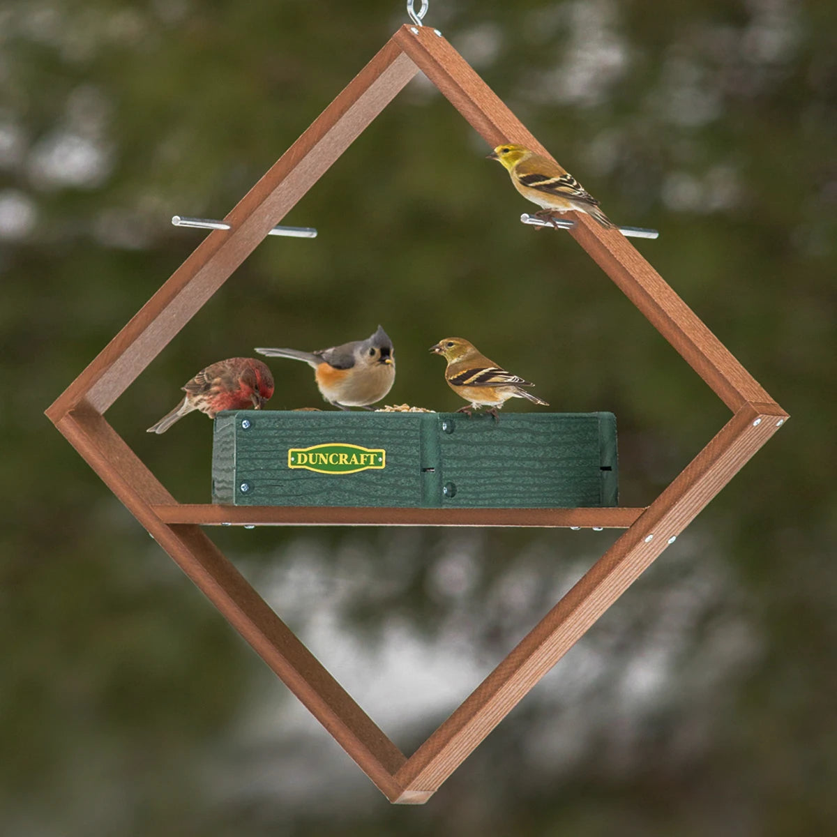 Duncraft Hexagon Hanging Twirl Platform Feeder with birds perched on metal perches and feeding from the seed tray, showcasing its durable design and mesh drainage.