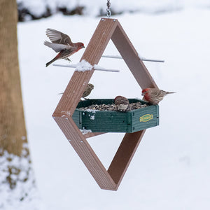 Duncraft Hexagon Hanging Twirl Platform Feeder with birds feeding and flying in winter snow. Durable, recycled plastic, metal mesh drainage, easy to clean.