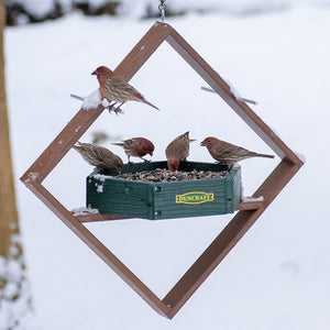 Duncraft Hexagon Hanging Twirl Platform Feeder with birds perched on metal perches and feeding from the seed tray, showcasing its attractive design and functionality.